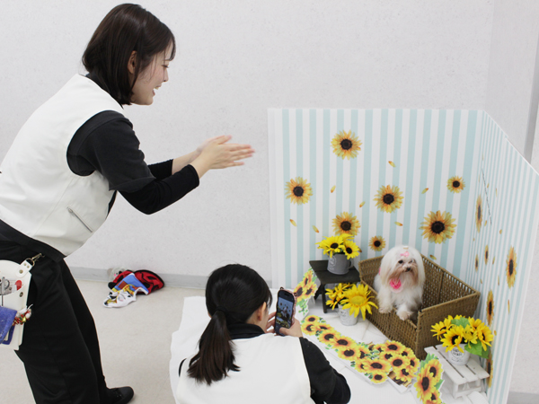 ２年生とモデル犬の写真撮影会♪～PART①～